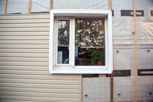 Best Custom Trim and Detailing for Siding  in Stevens Point, WI