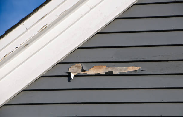 Best Insulated Siding Installation  in Stevens Point, WI